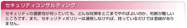 セキュリティコンサルティング